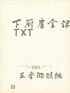 下厨房金银花露 TXT