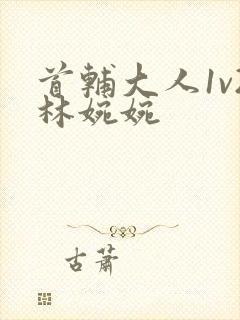 首辅大人1v2林婉婉