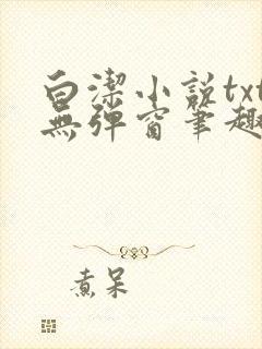 白洁小说txt无弹窗笔趣阁