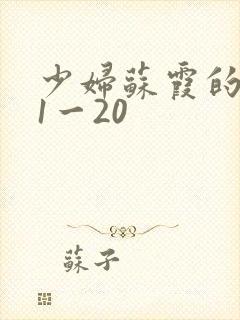 少妇苏霞的沉沦1一20