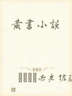 黄书小说