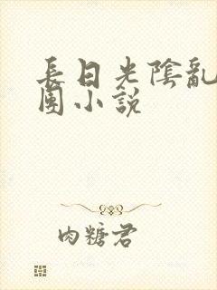 长日光阴乱作一团小说