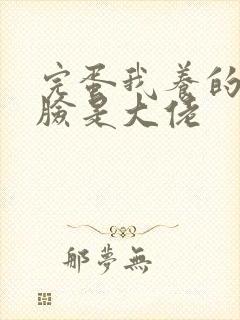 完蛋我养的小白脸是大佬封面