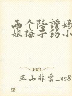 两个陪读妈妈赵姐梅子的小说