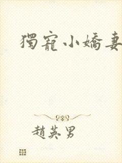 独宠小娇妻