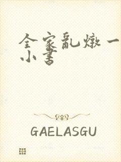 全家乱炖一锅烩小书