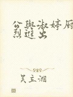 公与淑婷厨房猛烈进出