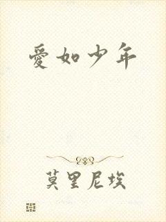 爱如少年