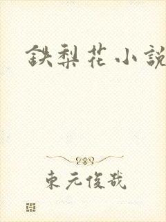 铁梨花小说