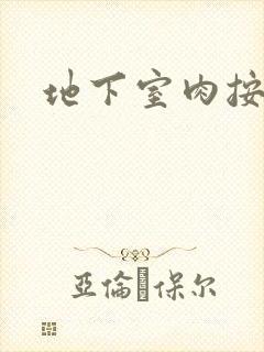 地下室肉按摩椅