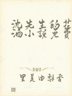 沈先生的花式调酒小说免费阅读