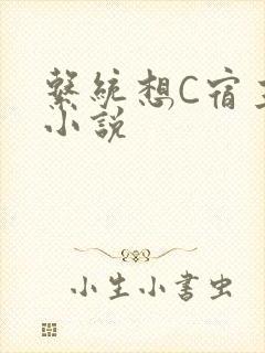 系统想C宿主的小说
