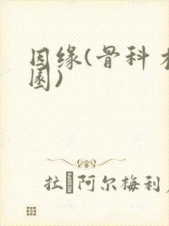 因缘(骨科 校园)封面