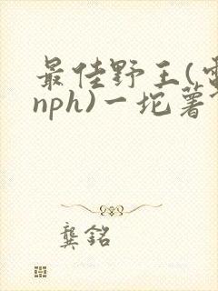 最佳野王(电竞nph)一坨薯饼