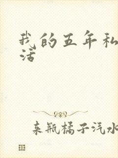 我的五年私奴生活封面