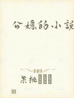 公媳的小说