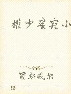 权少蜜宠小娇妻