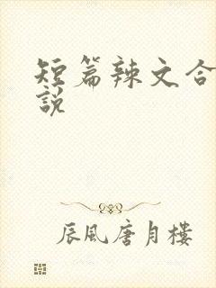 短篇辣文合集小说