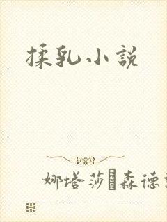 揉乳小说