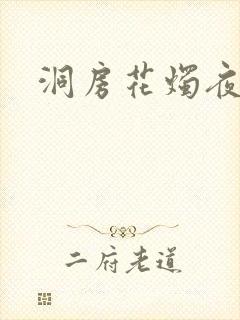 洞房花烛夜小说