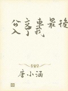 公交车最后一排入了我