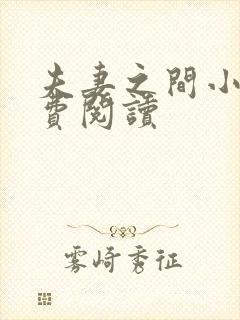 夫妻之间小说免费阅读