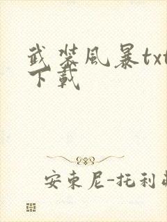 武装风暴txt下载