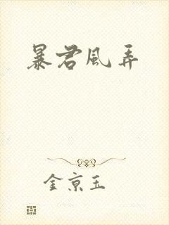 暴君风弄封面