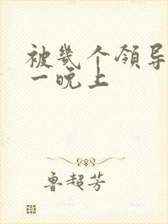 被几个领导玩弄一晚上