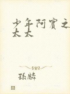 少年阿宾之房东太太