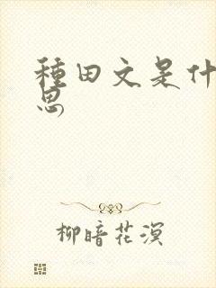 种田文是什么意思