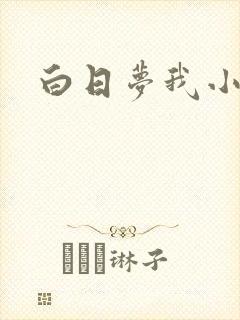 白日梦我小说封面