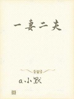 一妻二夫