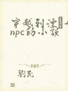 穿越到湮婸世界npc的小说