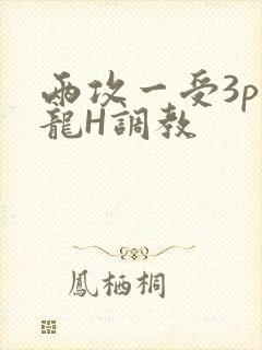 两攻一受3p双龙H调教