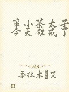 宁小茶太子殿下今天破戒了吗免费阅读