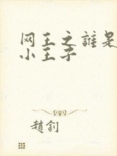 网王之谁是我的小王子