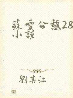 苏雪公憩28篇小说
