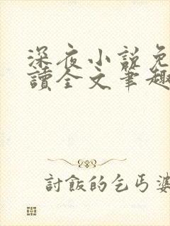 深夜小说免费阅读全文笔趣阁封面