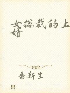 女总裁的上门女婿