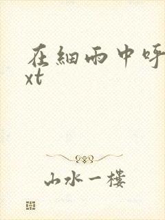 在细雨中呼喊txt