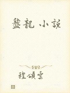 盘龙 小说