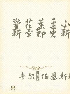 警花叶柔小说最新章节更新