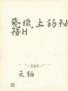 飞机上的秘密服务H