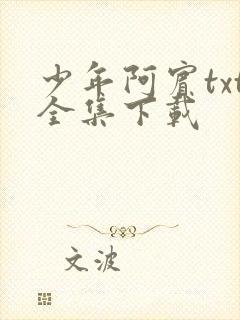 少年阿宾txt全集下载