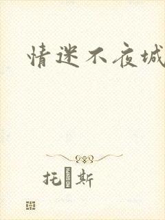 情迷不夜城