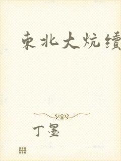 东北大炕续集