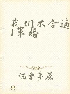 我们不合适1v1军婚