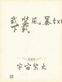 武装风暴txt下载