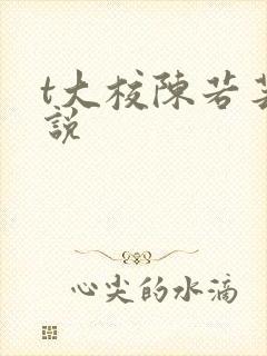 t大校陈若芸小说
